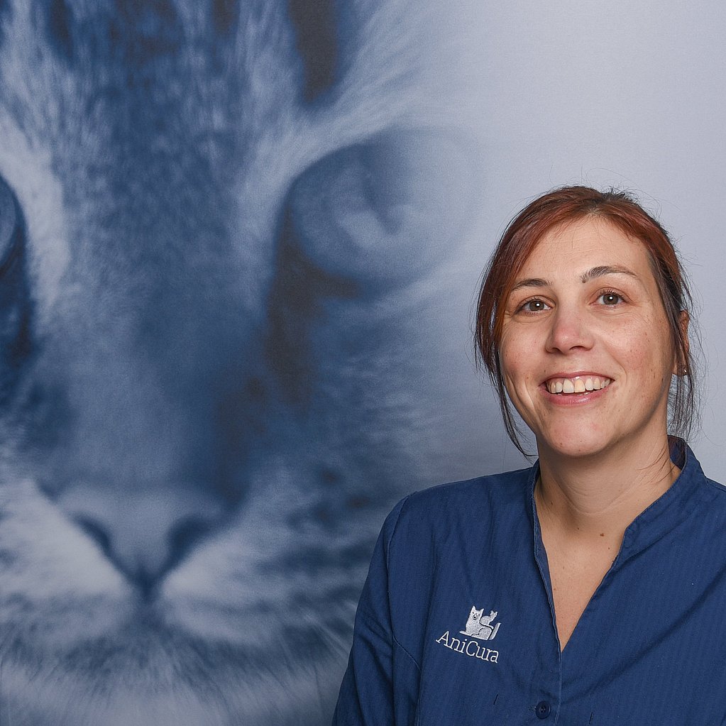 Een persoon die voor een kat lacht.