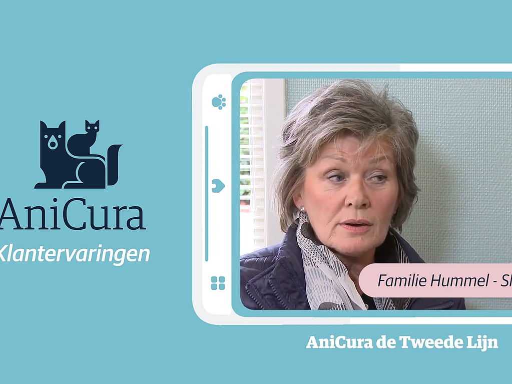 Een persoon met grijs haar.
