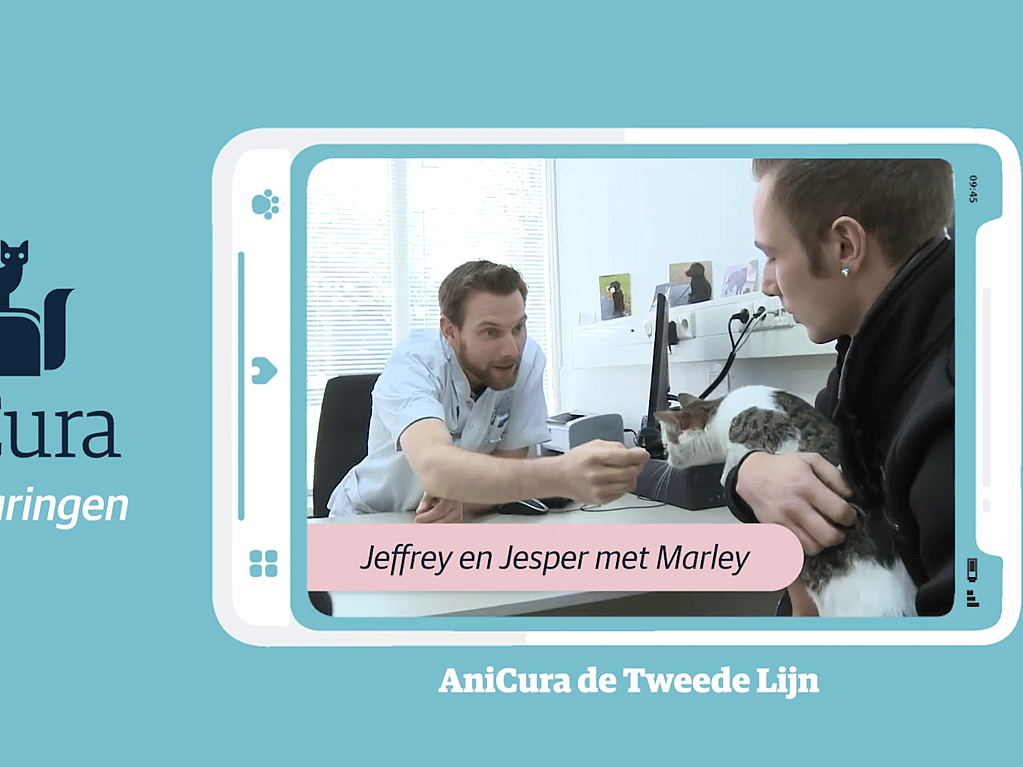 Een groep mensen die een kat bekijken.