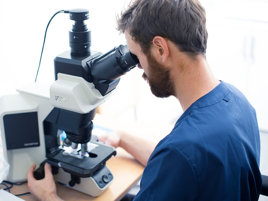 Van kleuring tot microscoop