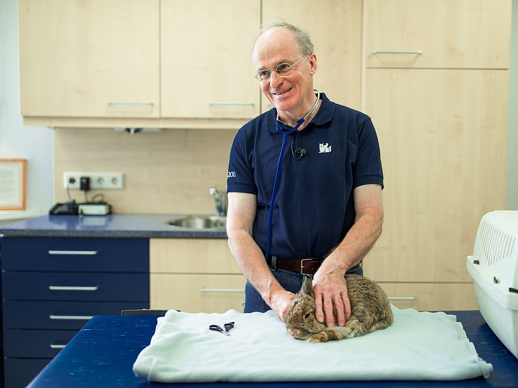 Een persoon die een kat vasthoudt.