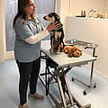 Photo of Marion Teunissen, Dierenarts