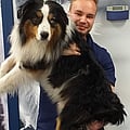 Photo of Julian, Paraveterinair