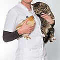 Photo of Marion Walburg, Dierenarts