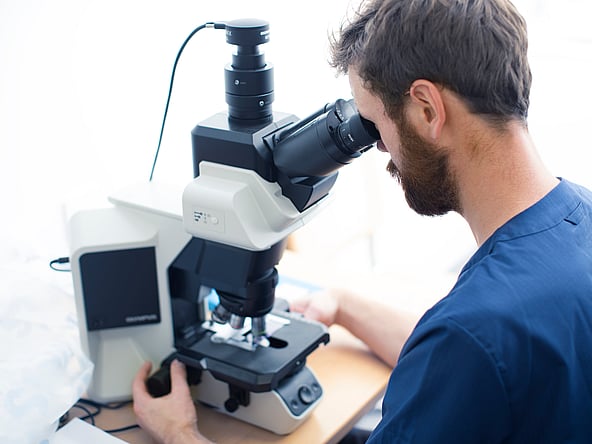 Van kleuring tot microscoop