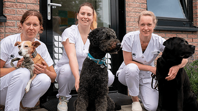 Blije hond