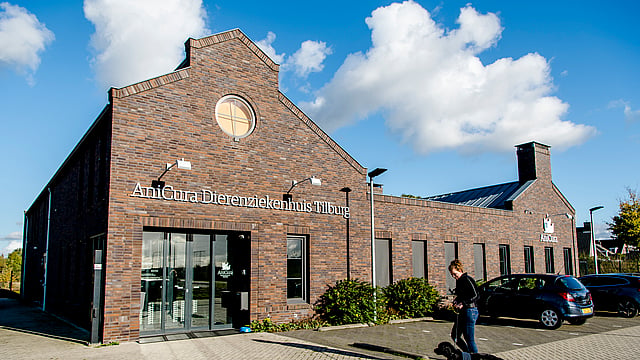 Een persoon die een hond uitlaat buiten een gebouw.