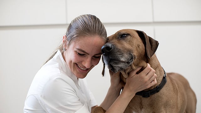 Vet cuddling with Rhodesian Ridgeback