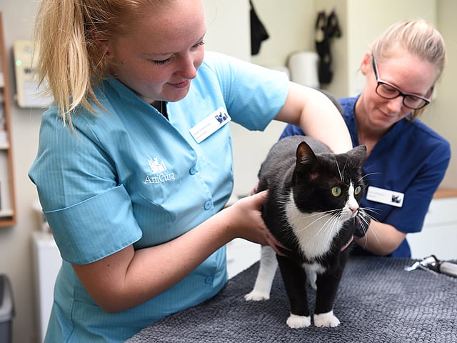 AniCura Sterrenburg Drechtstreek