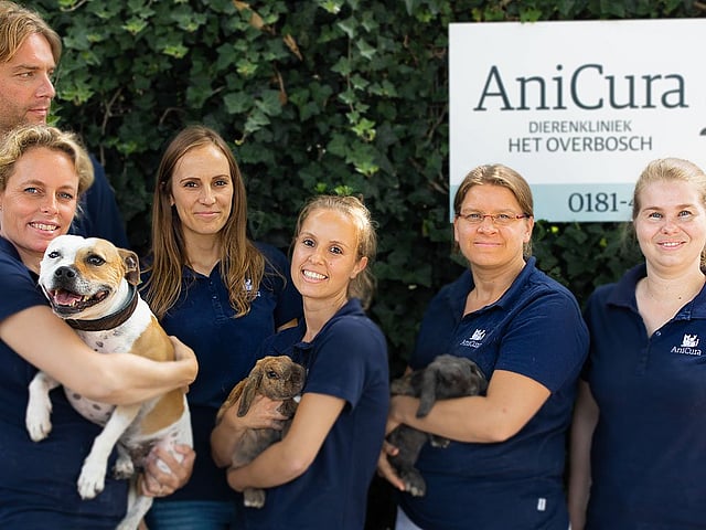 AniCura Dierenkliniek Het  Overbosch - Oostvoorne
