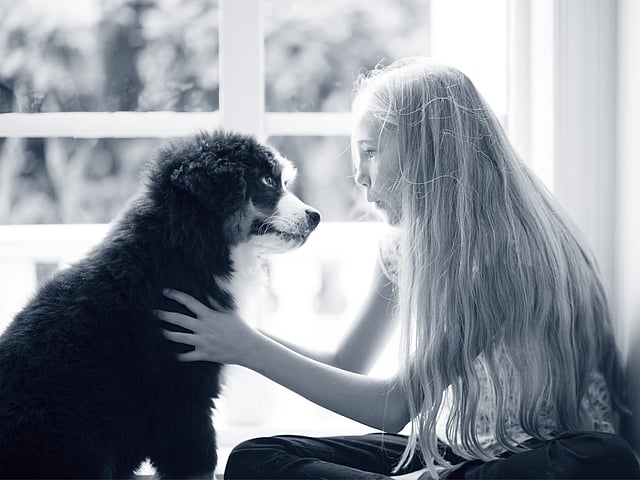 AniCura Deventer - Zandweerd