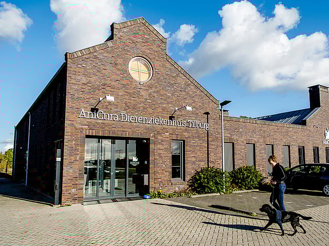 Een persoon die een hond uitlaat buiten een gebouw.