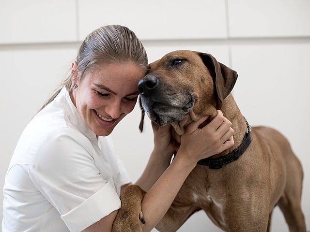 Vet cuddling with Rhodesian Ridgeback