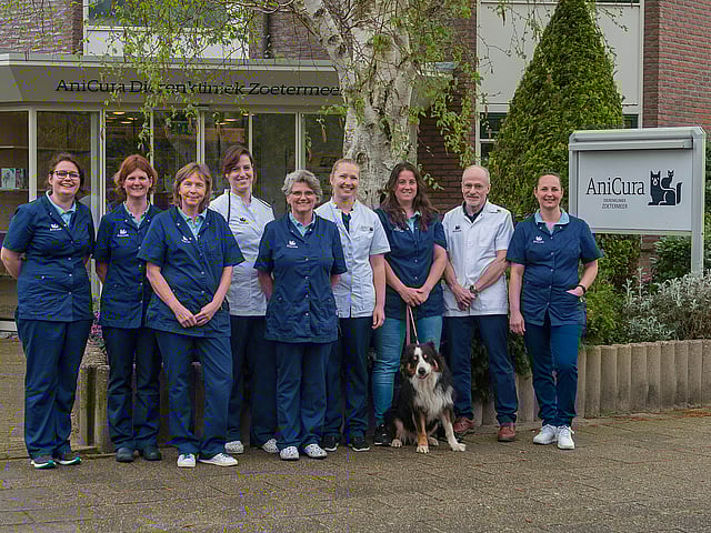 Een groep mensen in blauwe uniformen.