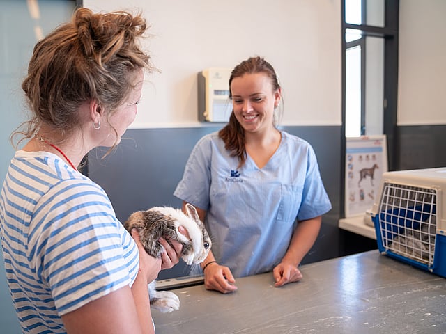 Klant met konijn bij dierenarts