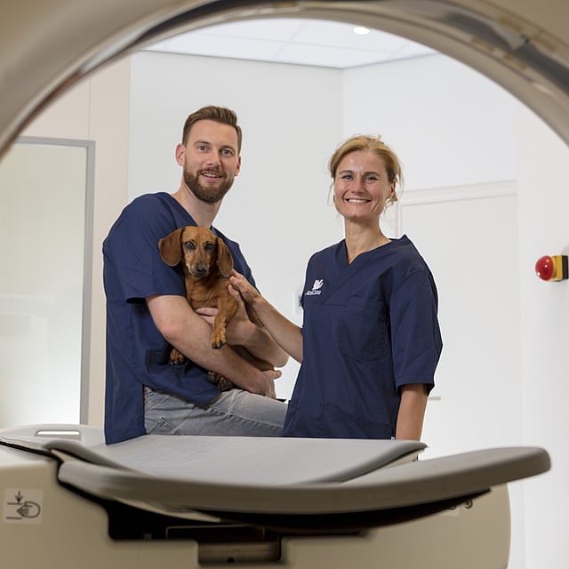 Een persoon en een persoon die een hond vasthoudt.