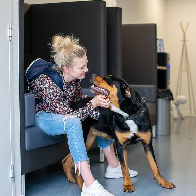 Een persoon die op een bank zit en een hond aait.