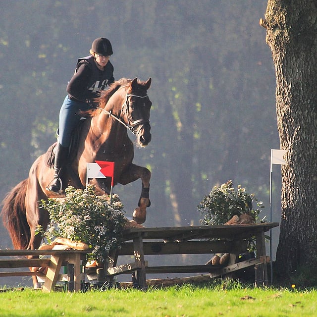 Een persoon die een paard over een sprong berijdt.