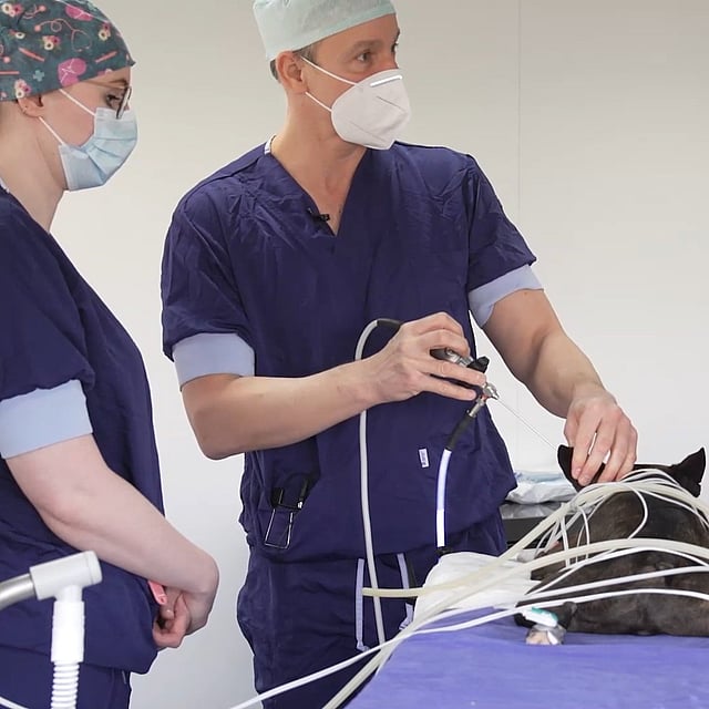Een persoon in scrubs en masker die een object met draden vasthoudt.