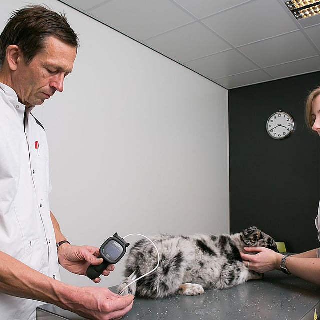 Een persoon en een persoon in een witte jas die een kat vasthoudt.