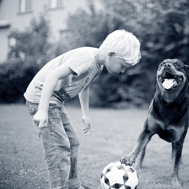 hond en jongetje spelen