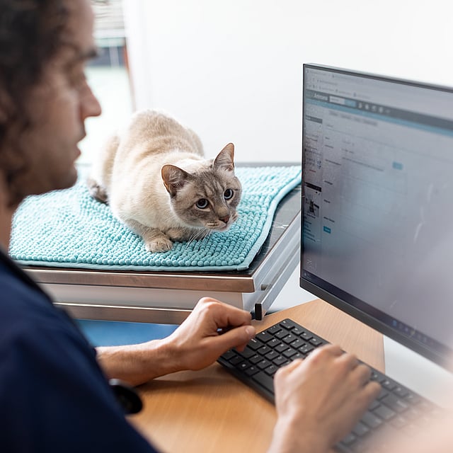 Een persoon die achter een computer zit.