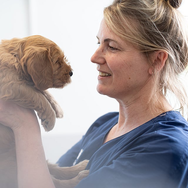 Een persoon die een puppy vasthoudt.