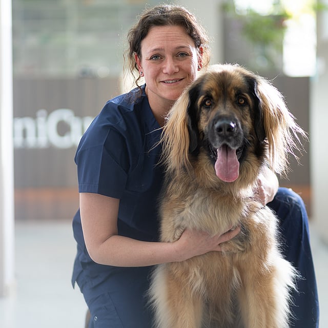 Een persoon die een hond vasthoudt.