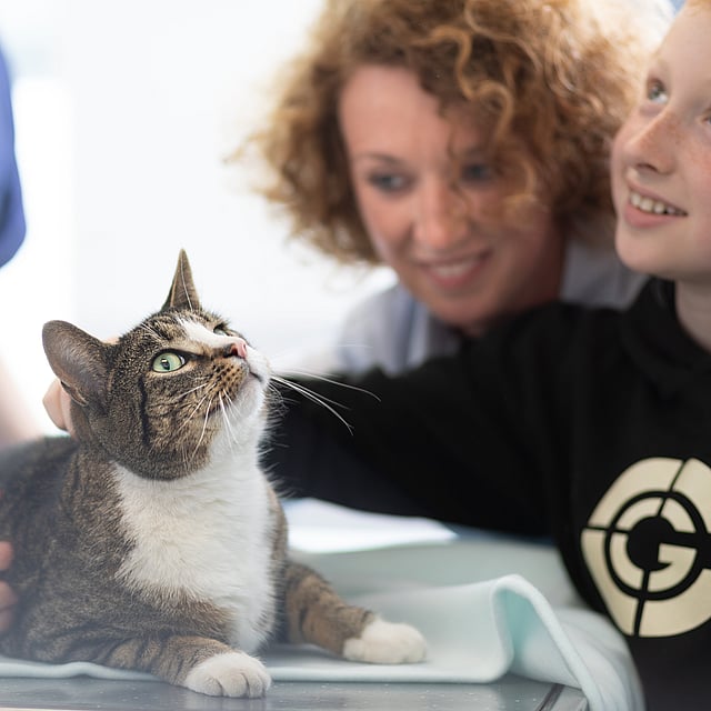 Zo kies je een dierenarts