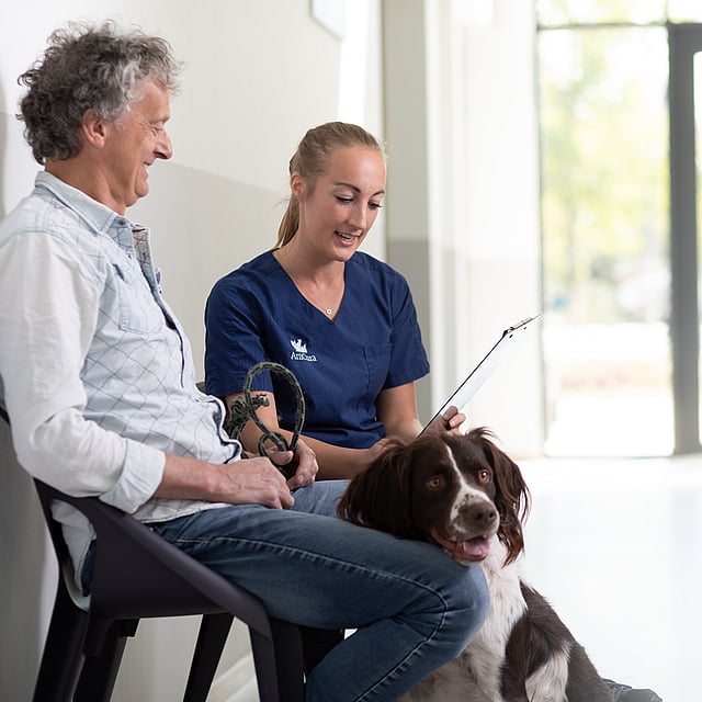 Een persoon en persoon zittend op een stoel met een hond.