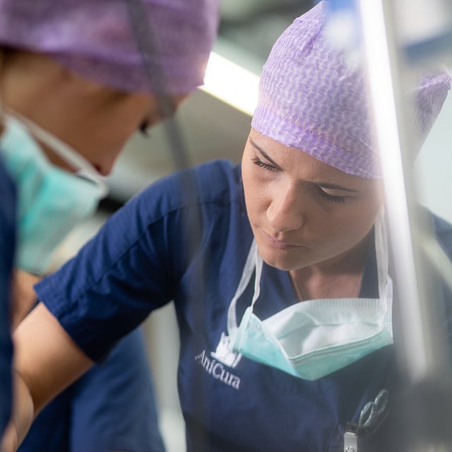Een groep mensen die chirurgische mutsen en scrubs dragen.