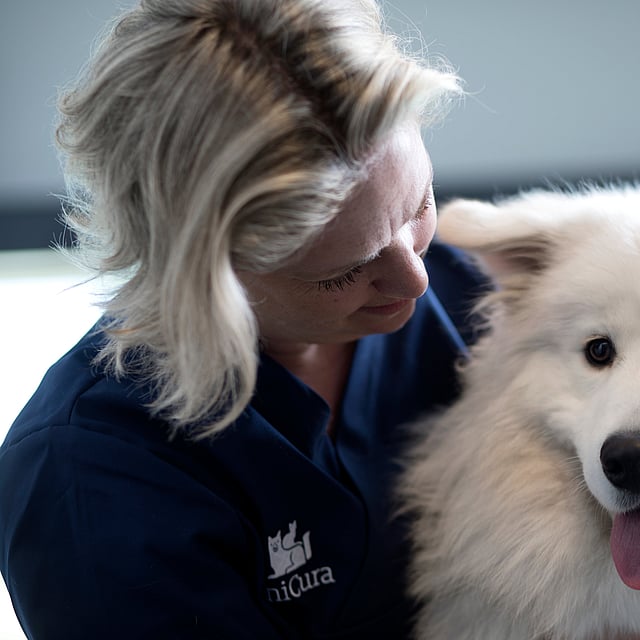 Een persoon die een hond vasthoudt.