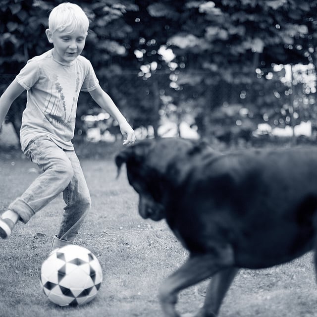 Een kind dat een voetbalbal met een hond schopt.
