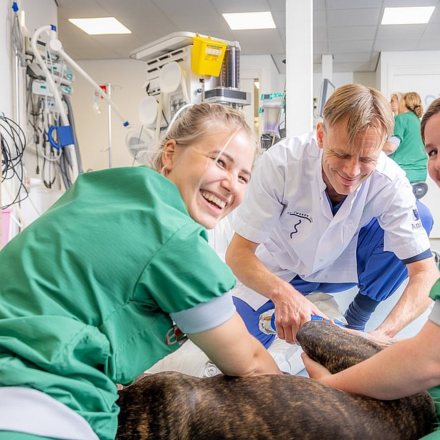 Een groep mensen in groen struikgewas die glimlachen en een hond vasthouden.