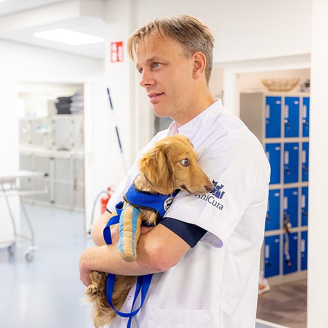Een persoon die een hond vasthoudt.