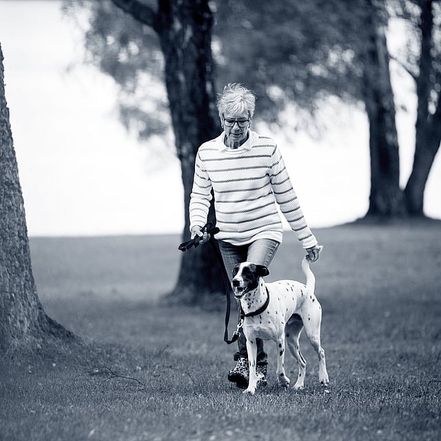 Een persoon die een hond uitlaat.
