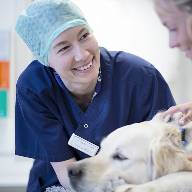 Een persoon en een hond liggend op een bed.