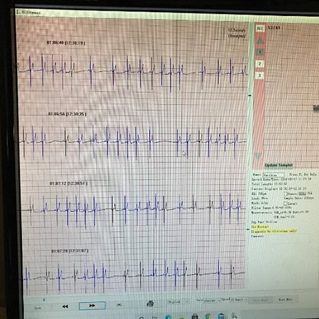 Een screenshot van een computer.
