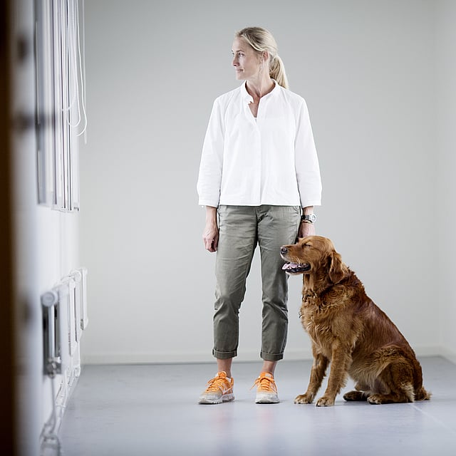 Een persoon die naast een hond staat.
