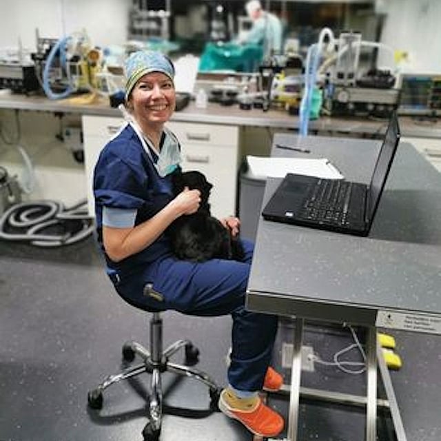 Dierenarts met computer