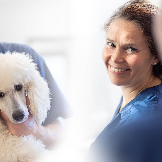 Een persoon en een persoon die een hond vasthoudt.
