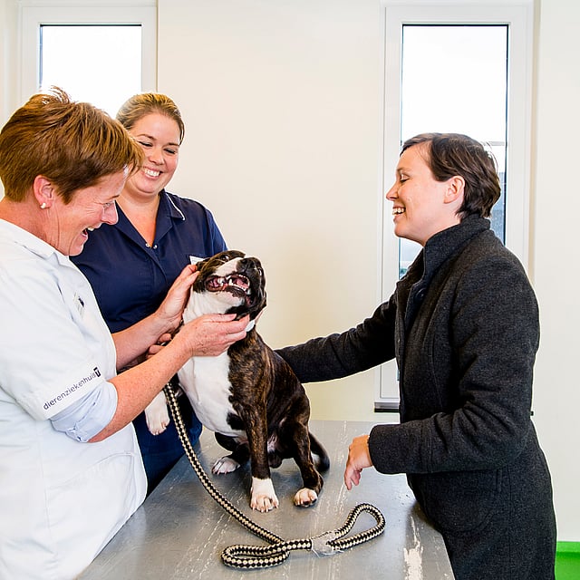 Een groep vrouwen die een hond vasthouden.