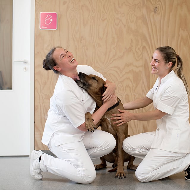 Twee vrouwen in witte uniformen die een hond vasthouden.