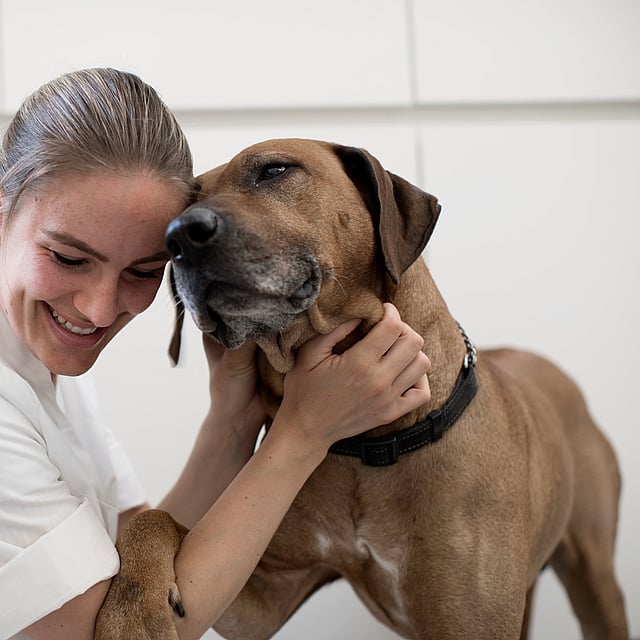 Een persoon die een hond vasthoudt.