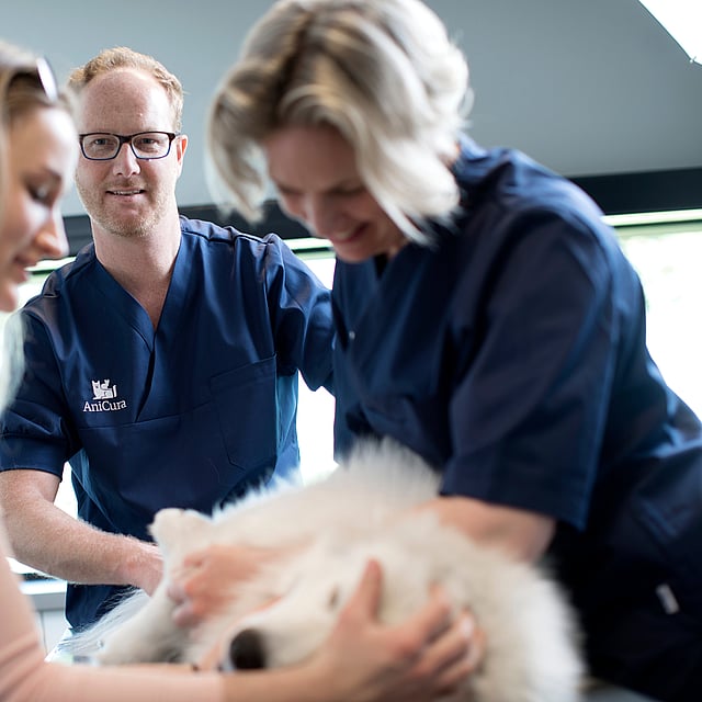 Een groep mensen die een hond vasthouden.