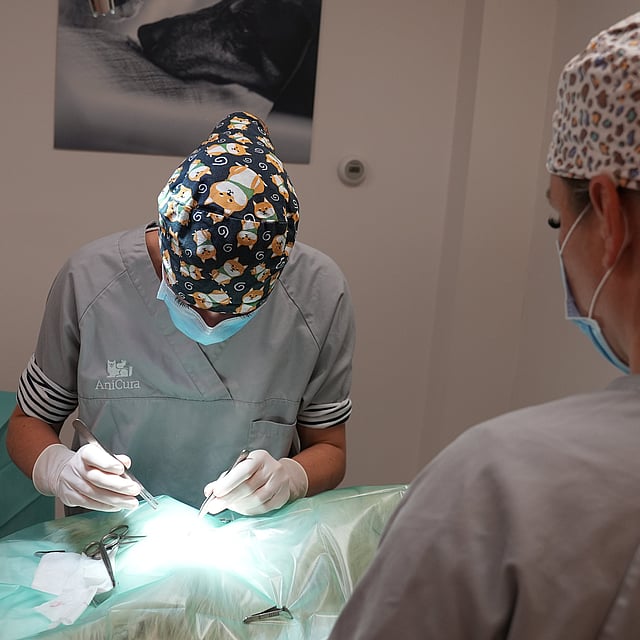 Een groep mensen die scrubs en chirurgische mutsen dragen.