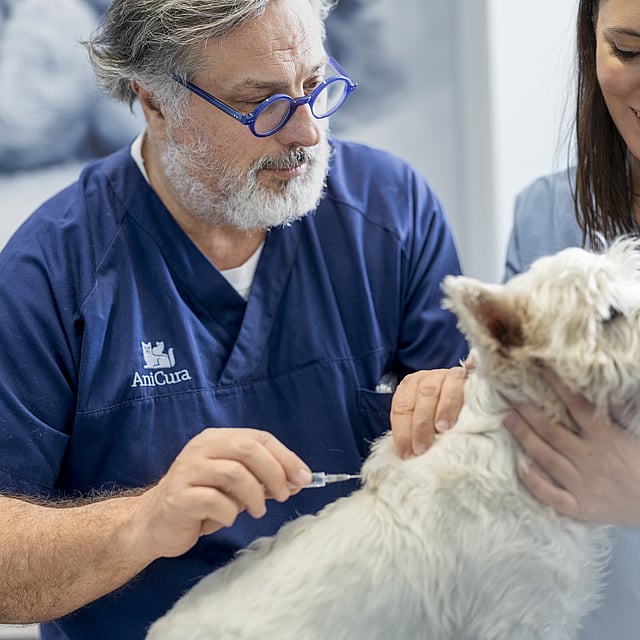 Een persoon en een persoon in blauwe scrubs die een hond een vaccinatie geven.