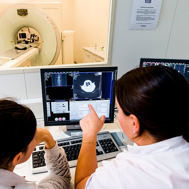 Dier in CT-scan in Zeeuws-Vlaanderen