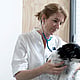 Photo of Maartje Passon-Vastenburg, Dierenarts-specialist