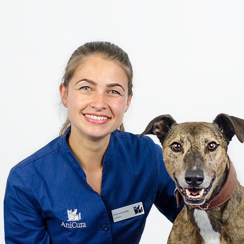Photo of Tessel van den Berg, Dierenarts/locatie Manager